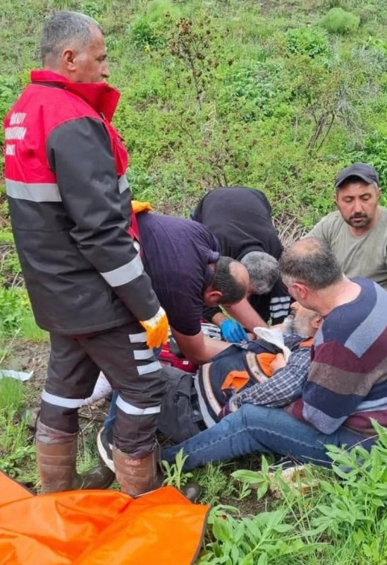 Sivas da Mantar Toplayan Köylüye Ayı Saldırsı